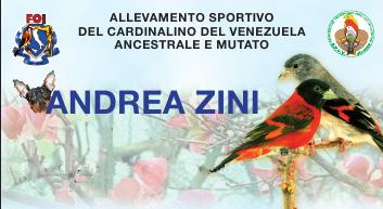 ALLEVAMENTO SPORTIVO DEL CANARINO DEL VENEZUELA ANCESTRALE E MUTATO ANDREA ZINI RNA ZL55 Vicolo Genova, 27-36078 VALDAGNO (VI)