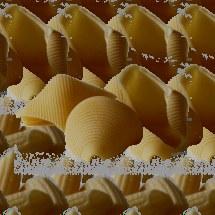 CONCHIGLIONI TOFE Pasta lunga I formati di pasta lunga della