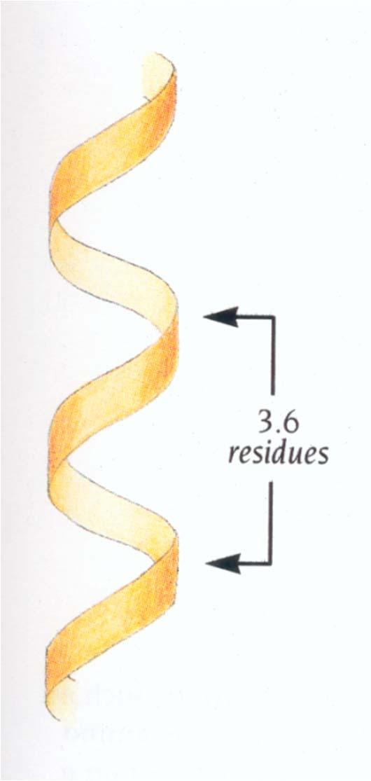 elica Un elica destrorsa è caratterizzata da: (, ) = (-57, -47 ), corrispondenti al quadrante in basso a sinistra del plot di Ramachandran; n = 3.6 residui per giro p =5.4Å d =1.