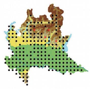 Esempio specie focale gruppo tematico anfibi e rettili Ramarro occidentale (Lacerta bilineata) Motivi per la selezione È presente in gran parte delle zone planiziali