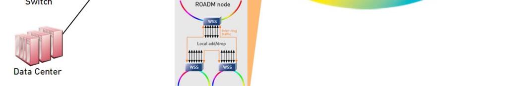 Commissioning di apparati di trasporto (DWDM,