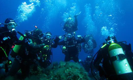 Stupendo il suo famoso faraglione detto la canna e la grotta la grotta del Bue Marino.