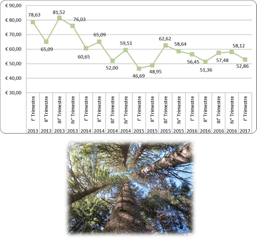 Legname in piedi venduto in provincia di Trento Tabella riassuntiva per trimestre Nr. lotti, quantità totali vendute e prezzi medi nel trimestre considerato.