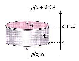 Equazione della statica. Per un generico sistema meccanico F (e) = 0 Nel caso dei fluidi si possono distinguere 2 tipi di forze: * forze a distanza (gravitazionale, elettrica o magnetica, ecc.