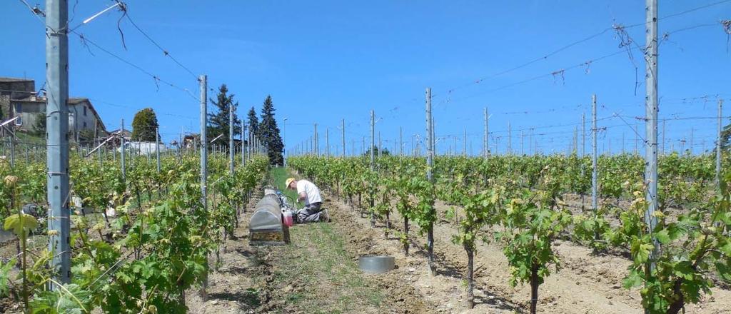 OR4 Misura delle emissioni di ammoniaca (NH 3 ) dal suolo Attività previste: OR4-A1: Misura delle emissioni di ammoniaca (NH 3 ) dal suolo.