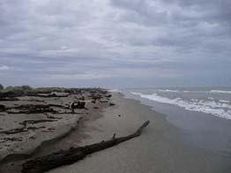 STATO Ampiezza media della spiaggia emersa EROSIONE COSTIERA - Stato Descrizione L indicatore descrive il litorale emiliano-romagnolo in termini di ampiezza media della spiaggia emersa.