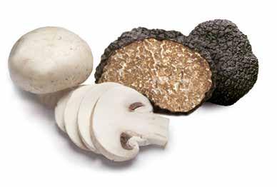 Le nostre Salse Le nostre Salse NATURALE SALSA FUNGHI & TARTUFO ESTIVO AL 15% NATURAL MUSHROOM & SUMMER TRUFFLE SAUCE TO 15% NATURALE SALSA FUNGHI & TARTUFO ESTIVO AL 15% NATURAL MUSHROOM & SUMMER