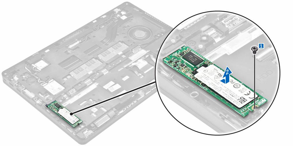 a. batteria b. coperchio della base 4. Seguire le procedure descritte in Dopo aver effettuato gli interventi sui componenti interni del computer. Rimozione dell'unità a stato solido M.