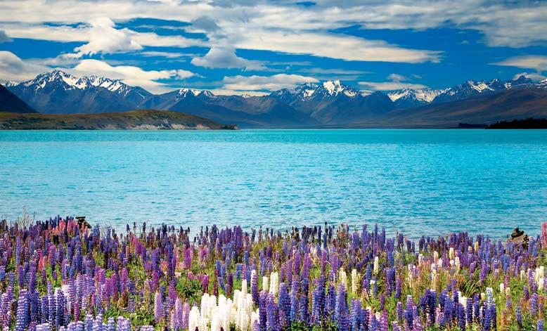 NUOVA ZELANDA TOUR IN PULLMAN Nuova Zelanda per Voi Un tour di grande interesse, che offre una panoramica delle località e dei luoghi più famosi e suggestivi dell Isola del Nord e dell Isola del Sud,