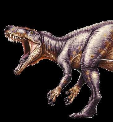 IL PERCORSO ESPOSITIVO SALA DEL TRIASSICO IL TRIASSICO - da 250 a 205 milioni di anni fa. Il periodo Triassico inaugura l era dei dinosauri, un mondo di creature davvero fantastiche.
