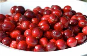 Il frutto è una bacca rossa di discrete dimensioni con buccia sottile e seme molto piccolo. I frutti sono adatti sia al consumo fresco, sia nella preparazione di succhi e confetture.