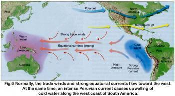condizione di normalità La Niña corrente oceanica fredda dominante in Oceano, molto intensa vicino alle coste peruviane (detta Corrente di Humboldt) Questa configurazione di correnti favorisce il