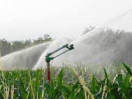 nella irrigazione: Prima degli anni 90 non si irrigava prima