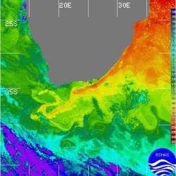 Turbolenza bidimensionale multi-scala Corrente del Golfo (Nord Atlantico) Immagine IR a