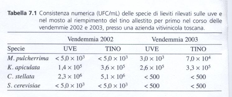 Dati microbiologici nelle annate 2002 (elevata umidità e T inferiori alle medie stagionali) e 2003 (bassa umidità e T superiori alle medie stagionali) Lieviti non-saccharomyces dominanti sulle uve e