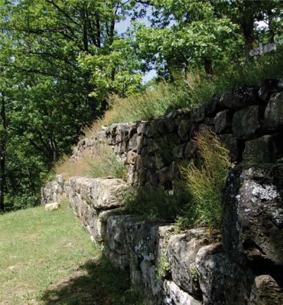 è SENTIERO 705 Lunghezza 5,83 Km Tempo di percorrenza 3 ore circa Difficoltà T (facile) Modalità di percorrenza A piedi, a cavallo Elevazione min: 851 m. s.l.m max: 36% Pendenza: med: 972 m. s.l.m med: 12% max: 1130 m.