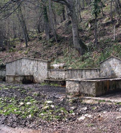 è SENTIERO 706 Lunghezza 7,87 Km Tempo di percorrenza 3 ore circa Difficoltà T (facile) Modalità di percorrenza A piedi, a cavallo Elevazione min: 776 m. s.l.m max: 31% Pendenza: med: 890 m. s.l.m med: 11% max: 1024 m.