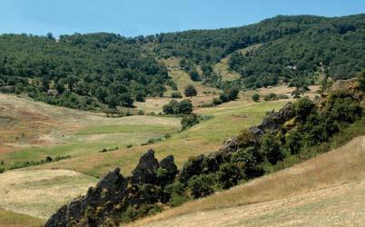 1785 L ITINERARIO Il sentiero inizia con una discesa che termina ai margini del centro abitato di Oliveto Lucano in località Neviera.