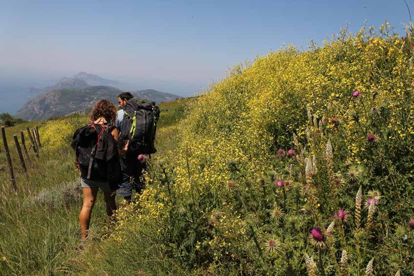 MULTI-DAY Tour Monti Lattari: Trekking/Kayak 9gg 100 km Difficile Questa escursione è stata pensata per gli escursionisti ed amanti della natura, e chi è già abituato a dormire in natura.