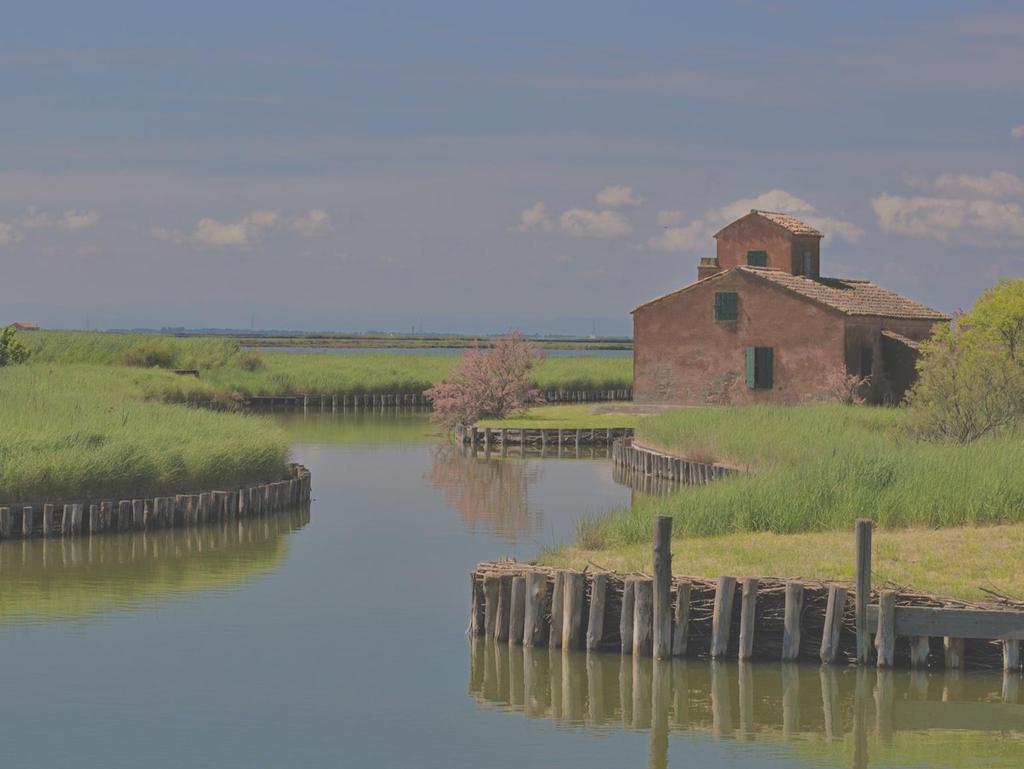 fasce di età più giovani verso aree urbane e industrializzate che siano in grado di offrire loro maggiori opportunità di realizzazione personale.