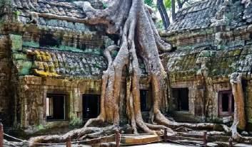 Siem Reap, nonostante sia nata appositamente per ospitare il turismo sempre crescente dedicato ai templi di Angkor, appare come una viva e ridente cittadina di provincia ricca di servizi.