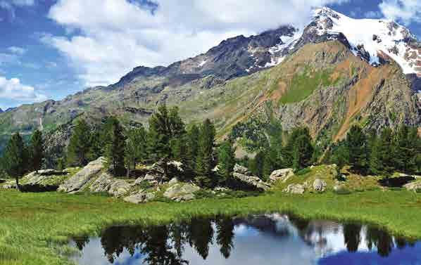 DAI PRATI FIORITI DI FONDOVALLE AI PASCOLI, FINO AI LAGHI AI PIEDI DEI GHIACCIAI Suggestivi itinerari che percorrono i sentieri dagli alpeggi ai rifugi alpini tra panorami mozzafiato, sole, storia e