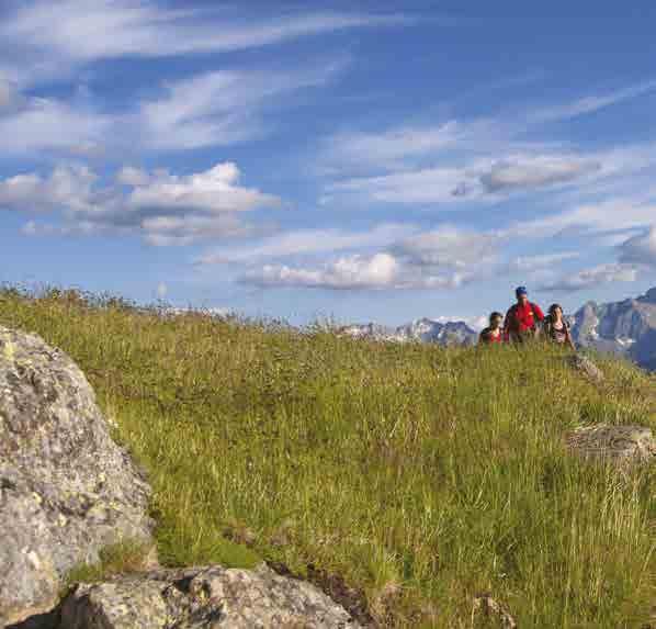 ESCURSIONE NEL PARCO TRA TRENTINO E ALTO ADIGE Un viaggio tra il Trentino e l Alto Adige in un susseguirsi di vallate e di paesaggi alpini.