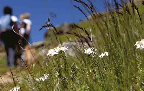 ALLA SCOPERTA DI LAGHI E AMBIENTI NASCOSTI Proposte di escursioni facili a media quota alla scoperta dei Parchi e dei Gruppi montuosi più noti della Val di Sole: ogni giorno un panorama diverso ed