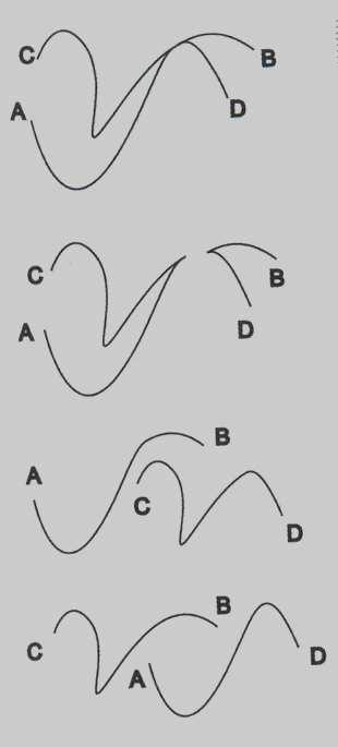 permette di vedere in un insieme le migliori figure possibili Notare l ambiguità dell