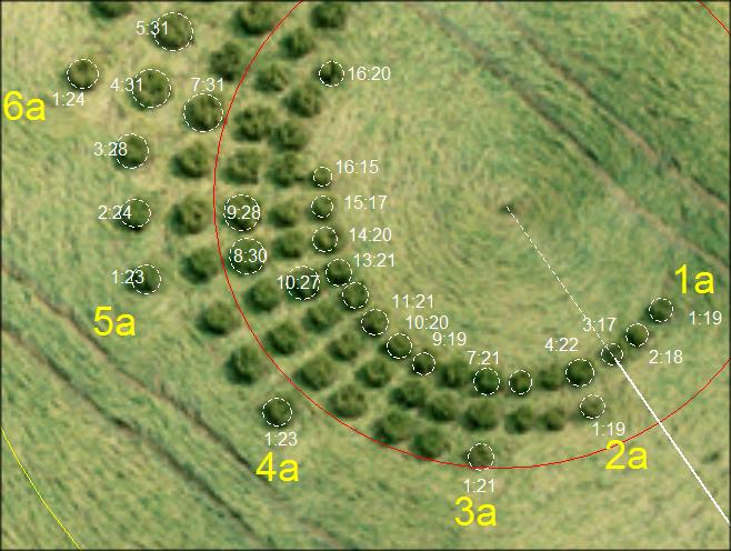 QUANTO e QUANDO MORIREMO DI FREDDO o DI CALDO Graficamente si e tentato di ricavare dei rapporti per quanto la grafica lo permetta. SOTTOLINEO, per quanto la grafica lo permetta.