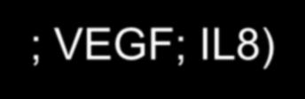 EGFR activation mediates: - Apoptosis resistance - Proliferation - Transcription (TGFα; VEGF; IL8) Shc PI3K