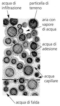 Generalità: Il terreno e sua composizione I terreni, sono costituiti da un insieme di granuli solidi (Scheletro solido = I Fase) di forma e dimensioni molto varia e da un sistema di vuoti occupati da