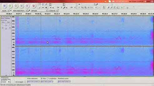 Studio delle vocalizzazioni e del repertorio acustico I suoni prodotti dai cetacei vengono registrati sistematicamente e analizzati al fine di approfondire le nostre conoscenze sul comportamento, l