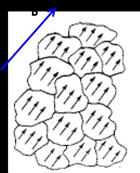 Ogni dominio genera un proprio campo magnetico, ma nel complesso il blocco di ferro risulta smagnetizzato perché i singoli domini hanno orientazioni casuali.