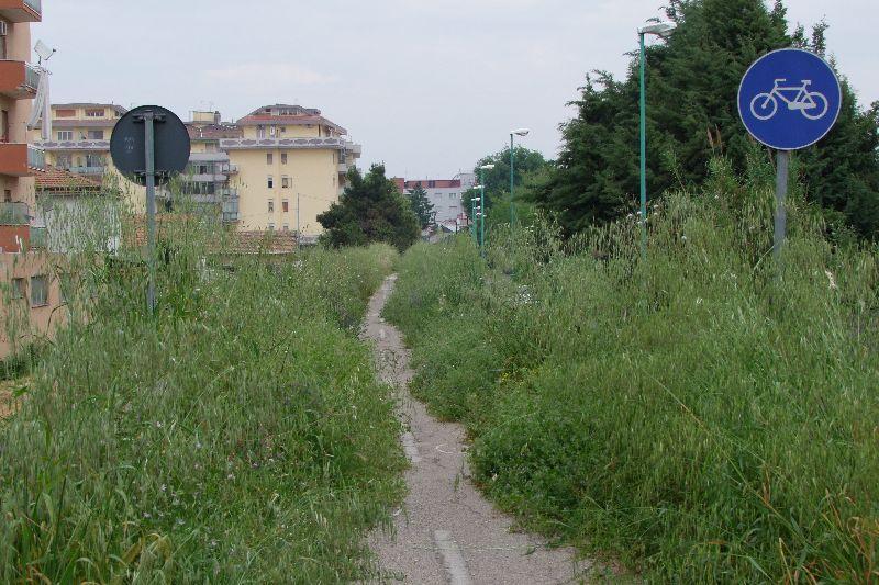 Argine nord Da ponte di