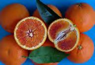 Grado Brix: 9 Colore polpa: arancio intenso Forma: sferoidale Sapore: eccellente Colore