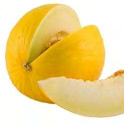 Honey dew Melone Carribean Gold Colore del frutto: buccia uniforme, gialla brillante Forma: larga e rotonda