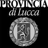 MODULO REVISIONE REGISTRO REGIONALE DELLE ASSOCIAZIONI DI PROMOZIONE SOCIALE ARTICOLAZIONE PROVINCIALE DI LUCCA (Legge regionale 09 dicembre 2002, n 42 Regolamento provinciale approvato con Delibera