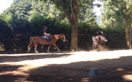 HORSE EXPERIENCE Proposta Specialistica Tipologia Soggiorno residenziale per ragazzi dai 9 ai 17 anni 1 o 2 settimane (8 gg/7 notti - 15 gg/14 notti) Fasce d età 9-13 14-17 Attività Attività