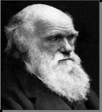 L evoluzione classica DARWIN : EVOLUZIONE = NEWTON : SCIENZA CLASSICA DARWIN (1859) cambiamento continuo cammino verso l ottimo necessità evoluzione determinata