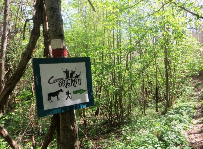 m. di quota) sulle orme dei briganti della Banda di Cartore, tra la Val de Varri, la Valle del