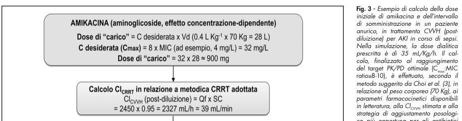 G Ital nefrol 2012;