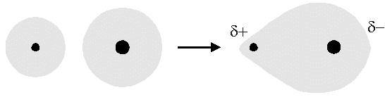 DI e- CHE UN ATOMO DEVE ACQUISIRE O PERDERE (SIA PER CONDIVISIONE CHE PER TRASFERIMENTO) PER