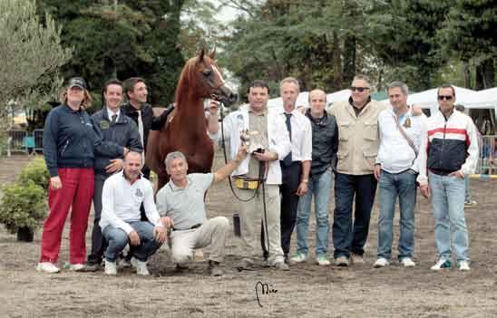 (KUBINEC x TEMPTRESS MSC) Breeder: GESTUET MORAENENHOF (DEU) - Owner: GUBBIOTTI GIANPAOLO