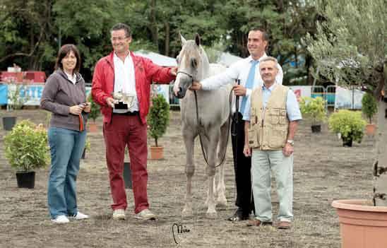 ONGARINE DI PASQUALI MARINA GS DAHAB Silver Medal Colts