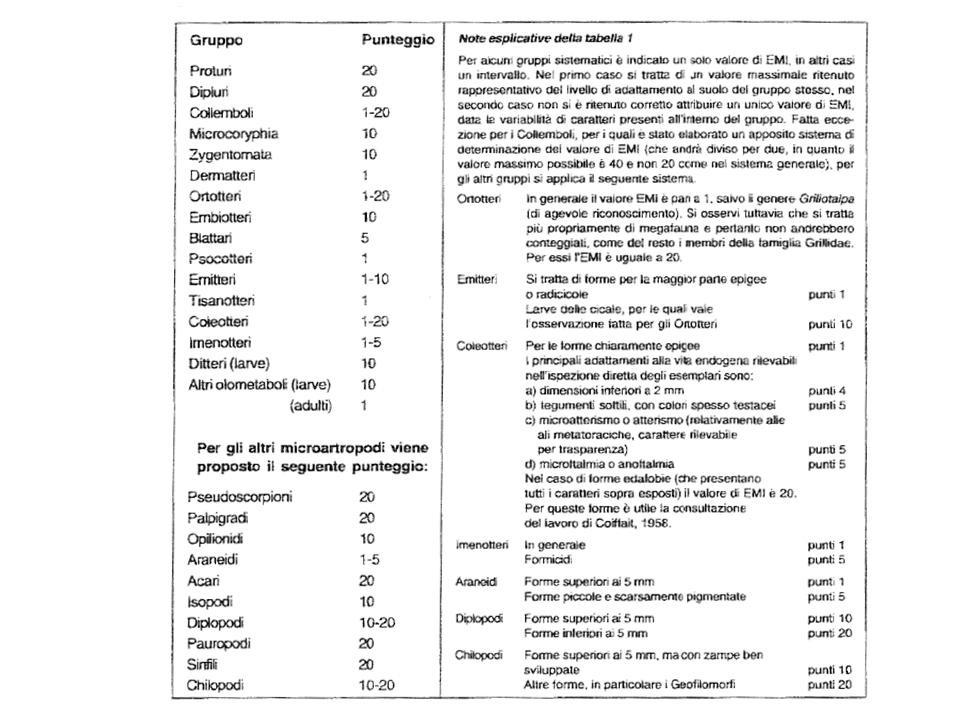 Tab. 4.2. Indici Ecomorfologici (EMI) per il calcolo del QBS-ar (Parisi, 2001).
