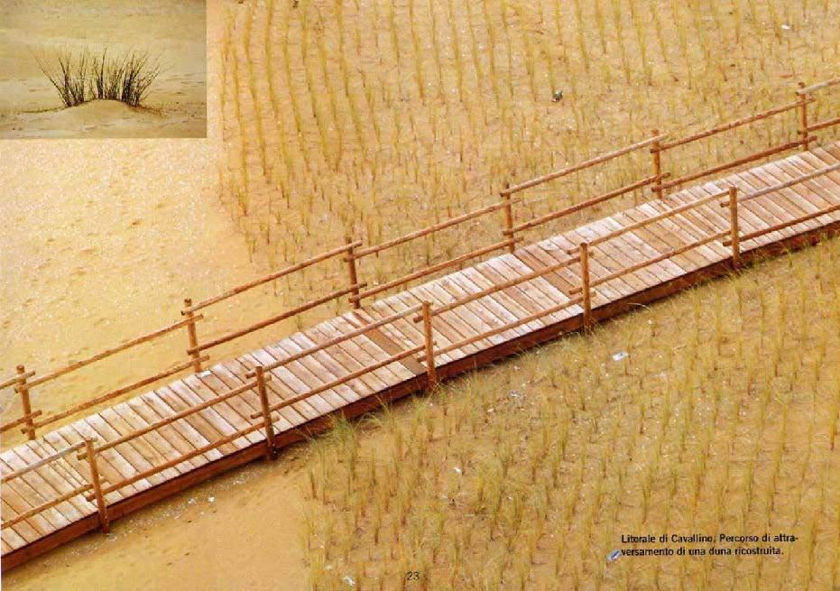 Percorso di attraversamento di una duna ricostruita Tipica pedana in legno per l