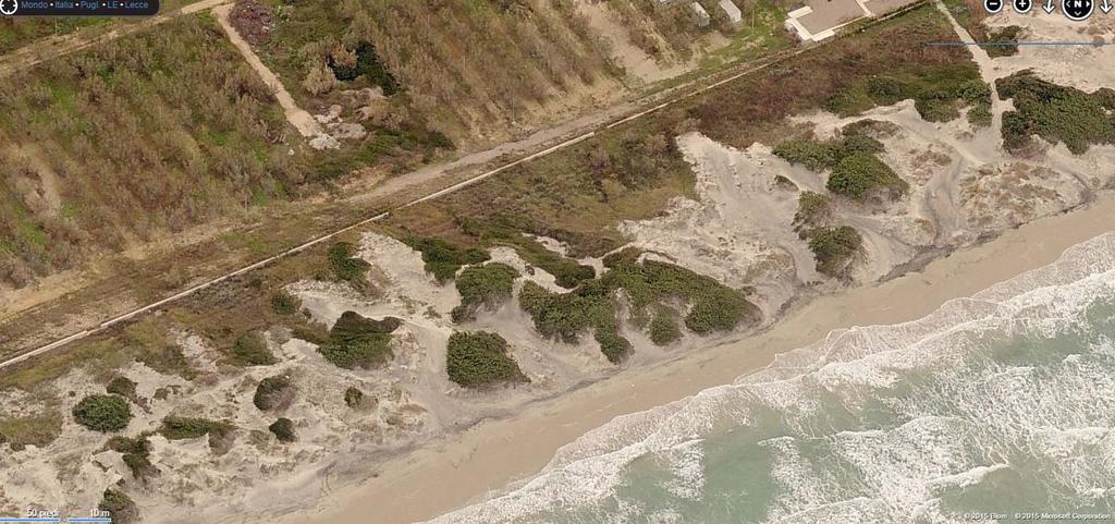 T2 L1d Tratto 2 lotto 1d; questo ultimo tratto di cordone dunale residuale ricade nel territorio amm.vo costiero del comune di Trepuzzi.
