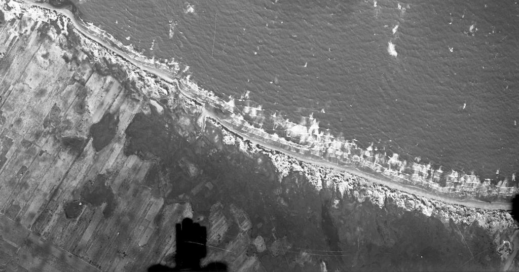 T1 L1d Foto 2di2 IGMI Volo aereo IGMI del 1947:l cordone dunale di posto dei Trepuzzini e dell ampio territorio retrodunale, occupato da paludi e stagni