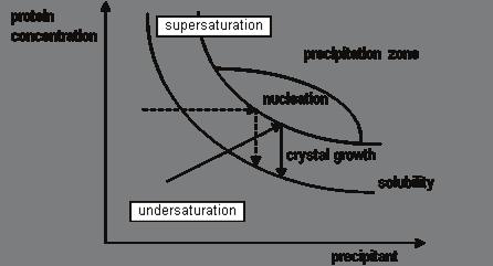 Cristallizzazione nucleazione: la soluzione è portata in condizione di supersaturazione (zona termodinamicalmente